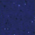 Folia Hexis - HX20P004B - Bleu Apollon