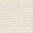 Folia Hexis - HX30AL003B - Artic White Alligator