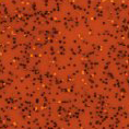 Folia Hexis - HX30S004B - Tangerine Orange gloss