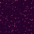 Folia Hexis - HX30S008B - Quartz Violet gloss