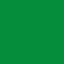 Folia Orafol Oracal 551 - 491 - Shamrock green